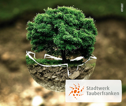 EMAS Grüner Baum in Nussschale