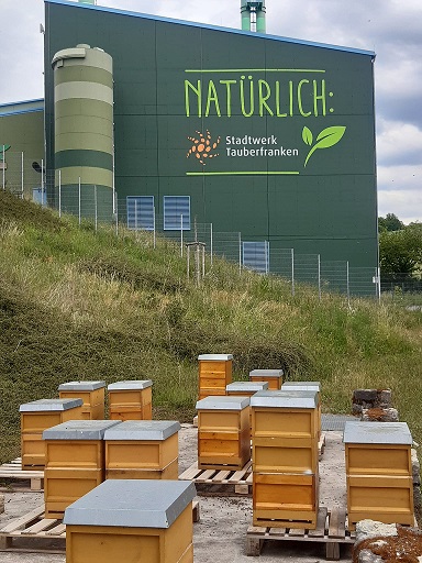 Mehrere Bienenkästen auf einer Wiese. Im Hintergrund ist ein grünes Kraftwerk zu sehen.
